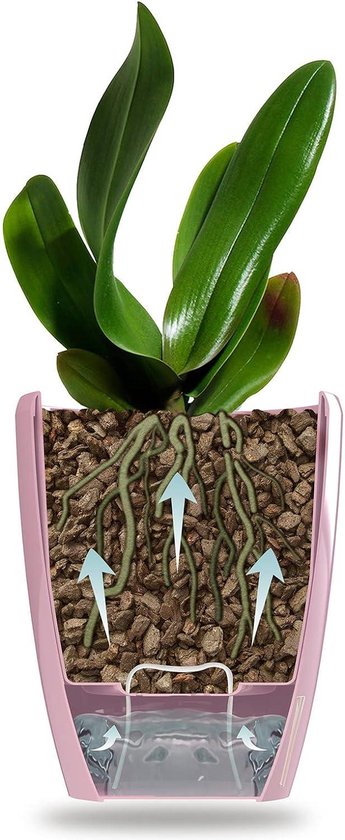 Orchideeënpotten - zelfbewaterend - set van 4 - zandkleurig - diameter