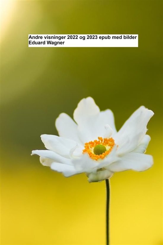 Andre visninger 2022 og 2023 epub med bilder - cover