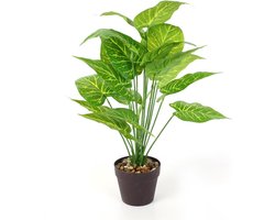 NATURN LIVING Kunststof Dieffenbachia - ø 15 x 55 cm - Tropisch Kamerplant - Realistische Nepplant - Onderhoudsvrije en Allergievriendelijke Binnenplant - Groen