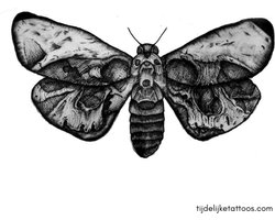 Doodskop Vlinder Silence of the Lambs - Skull Moth Tattoo - tijdelijke tattoo – neptattoo volwassenen - plak tattoo