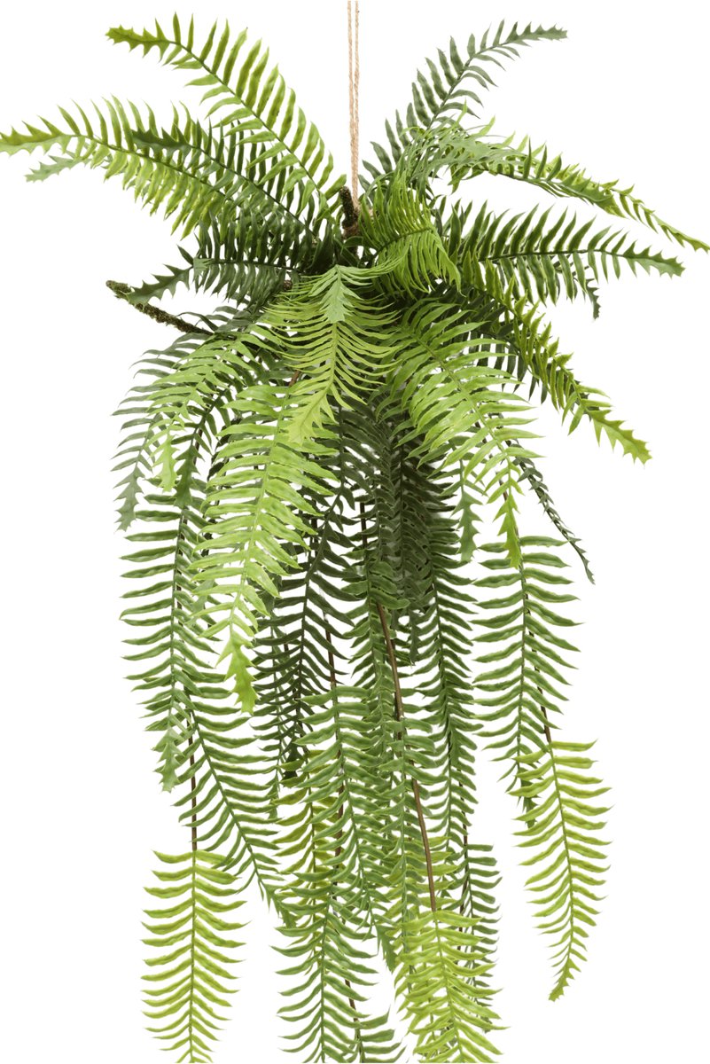 PrettyPlants Varen Kunst Hangplant | Hangende kunstplant | Kunstplant voor binnen | Varen Hangende Kunstplant | Kunstplant voor Binnen | Neppe Hangplant110cm Groen