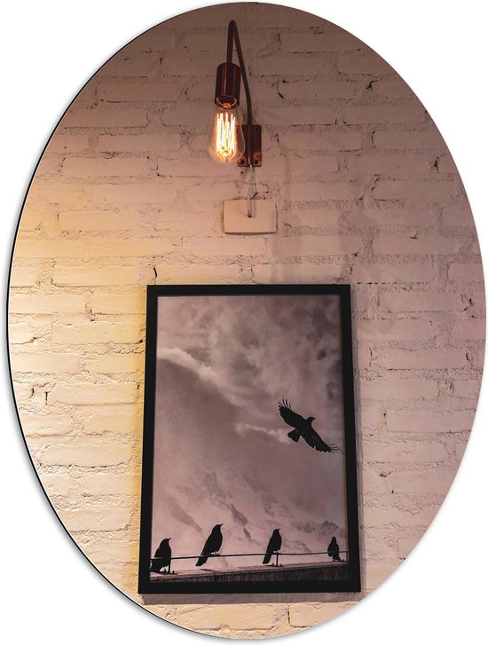 Dibond Ovaal - Schilderij van Vogels aan de Witte Muur - 60x80 cm Foto op Ovaal (Met Ophangsysteem)