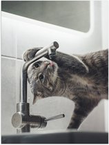 WallClassics - Poster brillant – Chat gris buvant au robinet – 30 x 40 cm Photo sur papier poster avec finition brillante