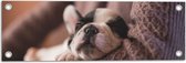 Tuinposter – Puppy Slapend in Armen - 60x20 cm Foto op Tuinposter (wanddecoratie voor buiten en binnen)