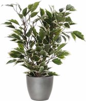 Groen/witte ficus kunstplant 40 cm met plantenpot zilver metallic D13.5 en H12.5 cm