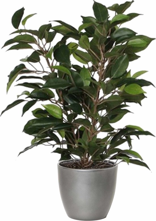 Ficus vert artificiel 40 cm avec cache-pot argent métallisé D13,5 et H12,5 cm