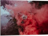 Dibond - Roze Roos Verdwijnend in Rode Rook - 80x60 cm Foto op Aluminium (Met Ophangsysteem)