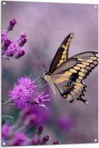 Tuinposter – Vlinder op de Paarse Bloemen - 80x120 cm Foto op Tuinposter (wanddecoratie voor buiten en binnen)