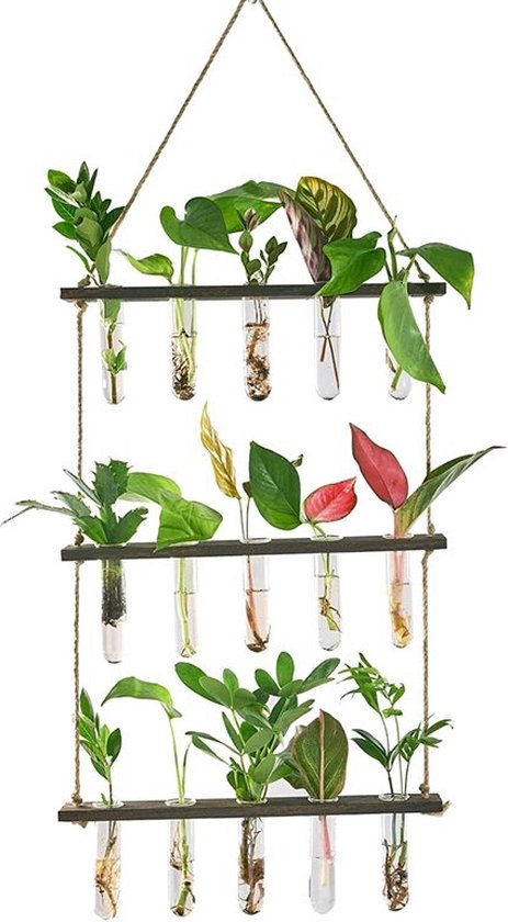 DWIH - Hangende stekjes boom - Geschikt voor 15 stekjes, bloemen, waterplanten (Hydroponie)