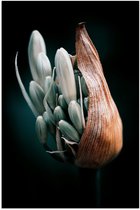 Poster Glanzend – Groene Bloemen Groeiend uit Plant - 40x60 cm Foto op Posterpapier met Glanzende Afwerking