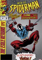 Marvel Comics - Toile - Toile de Spiderman - 70x50cm