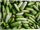 Tuinposter – Hoopje Groene Komkommers - 80x60 cm Foto op Tuinposter (wanddecoratie voor buiten en binnen)