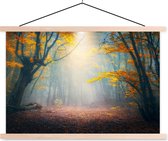 Porte-affiche avec affiche - Affiche scolaire - Forêt - Brouillard - Automne - 60x40 cm - Lattes vierges