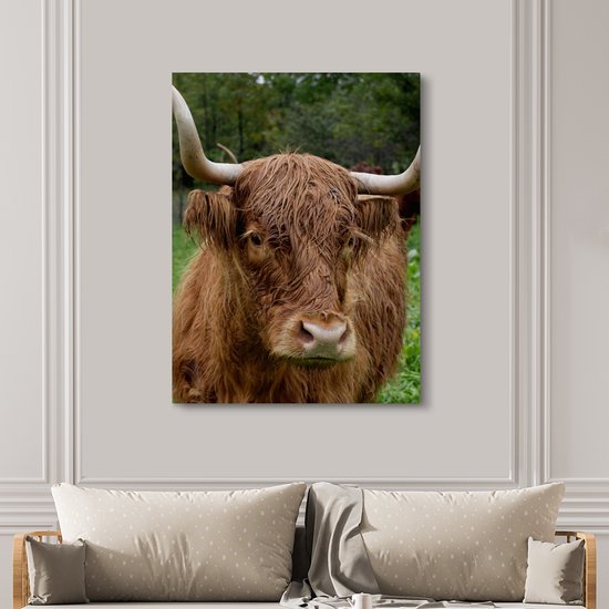 Tableau sur toile Highlander écossais - Animaux - Herbe - 120x160 cm - Décoration murale XXL