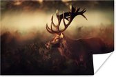 Affiche Cerf - Forêt - Brouillard - 120x80 cm
