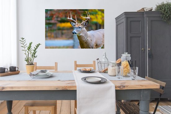 Cerf avec la tête dans l'air poster papier 120x80 cm - Tirage photo sur Poster (décoration murale salon / chambre) / Poster Animaux sauvages