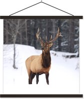 Porte-affiche avec affiche - Affiche scolaire - Cerf - Neige - Hiver - 60x60 cm - Lattes noires