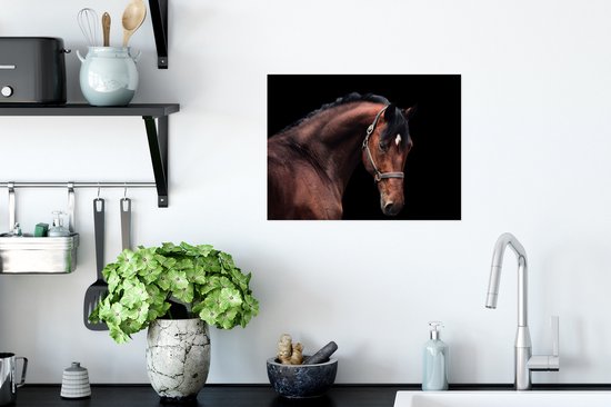 Portrait du côté d'un cheval sur fond noir Poster papier 40x30 cm - petit - Tirage photo sur Poster (décoration murale salon / chambre) / Poster Animaux de la ferme