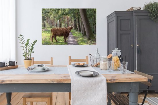 Affiche Highlander écossais - Chemin - Arbre - 120x80 cm