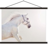 Porte-affiche avec affiche - Affiche scolaire - Cheval - Wit - Crinière - 150x113 cm - Lattes noires