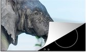 KitchenYeah® Inductie beschermer 78x52 cm - Olifant - Dieren - Grijs - Natuur - Kookplaataccessoires - Afdekplaat voor kookplaat - Inductiebeschermer - Inductiemat - Inductieplaat mat