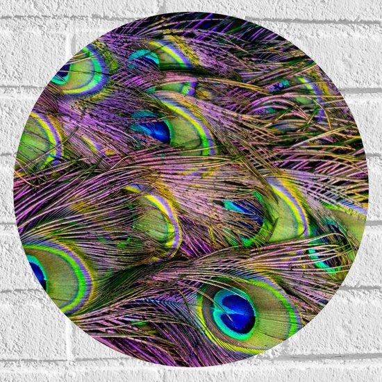 Muursticker Cirkel - Gekleurde Pauwen Veren - 40x40 cm Foto op Muursticker