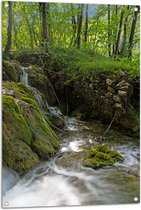 Tuinposter – Kleine Watervallen Stromend in Riviertje in het Bos - 70x105 cm Foto op Tuinposter (wanddecoratie voor buiten en binnen)