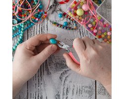 Tang Buigtang Pliers Hobbytang Punttang Kettingtang Kniptang