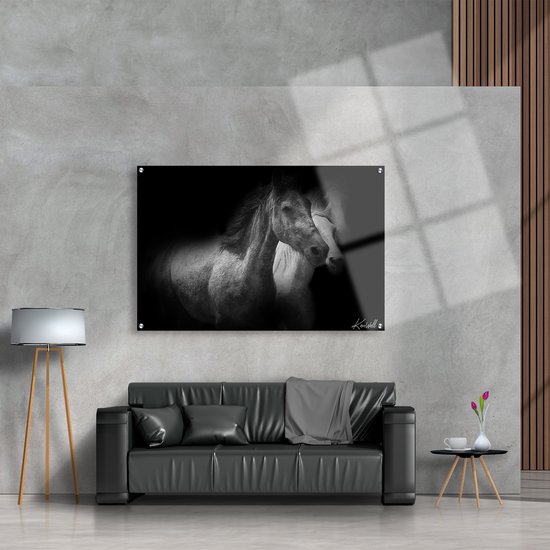 Luxe Plexiglas Schilderij Free Herd | 90x60 | Woonkamer | Slaapkamer | Kantoor | Muziek | Design | Art | Modern | ** 5MM DIK**