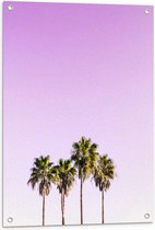 Tuinposter – Vier Hoge Smalle Palmbomen op Pastelroze Achtergrond - 60x80 cm Foto op Tuinposter (wanddecoratie voor buiten en binnen)