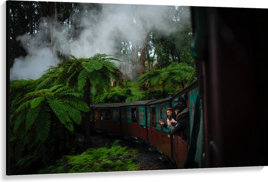 WallClassics - Canvas - Stoom Trein door de Jungle - 150x100 cm Foto op Canvas Schilderij (Wanddecoratie op Canvas)