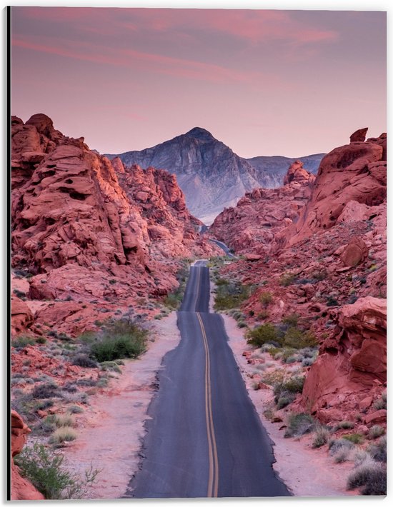 WallClassics - Dibond - Weg in Valley of Fire State Park in Nevada - 30x40 cm Foto op Aluminium (Met Ophangsysteem)