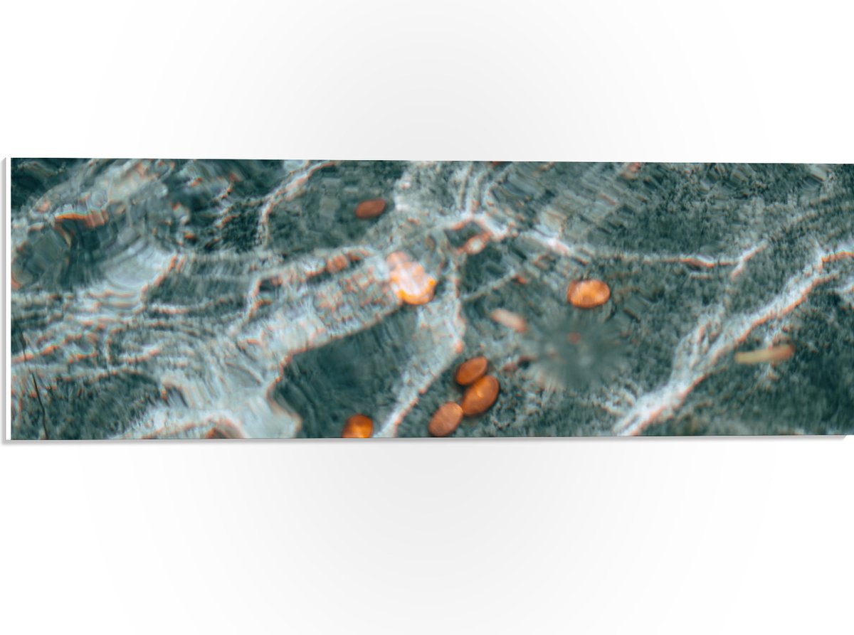 PVC Schuimplaat - Kleingeld op Bodem van Fontein - 60x20 cm Foto op PVC Schuimplaat (Met O