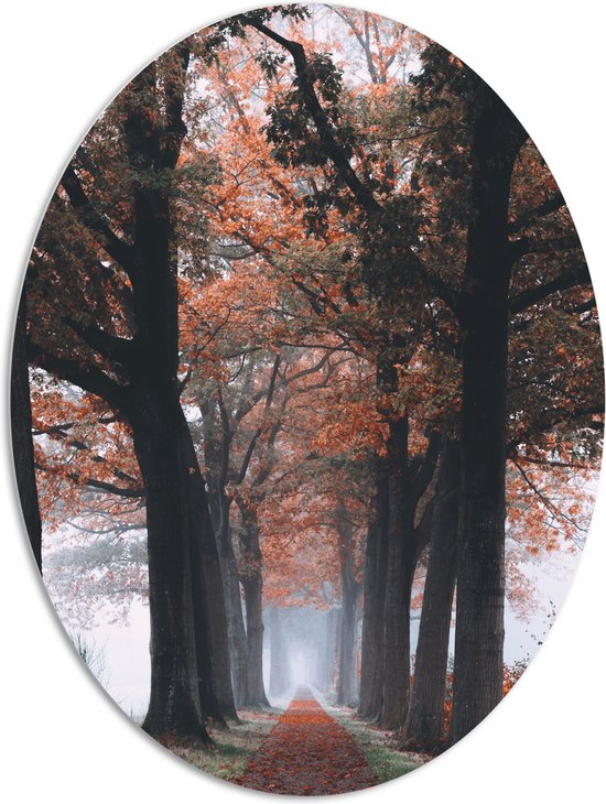 PVC Schuimplaat Ovaal - Bomen met Herfstbladeren - 81x108 cm Foto op Ovaal (Met Ophangsysteem)