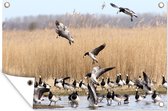 Muurdecoratie Gans - Riet - Water - 180x120 cm - Tuinposter - Tuindoek - Buitenposter