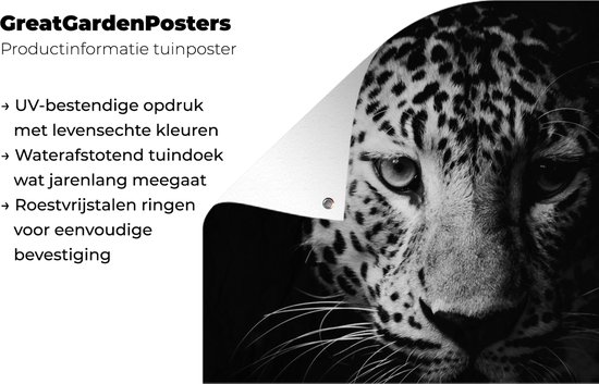 Affiche clôture Panthère - Animaux sauvages - Zwart et blanc - Animaux - 200x100 cm - Toile de jardin