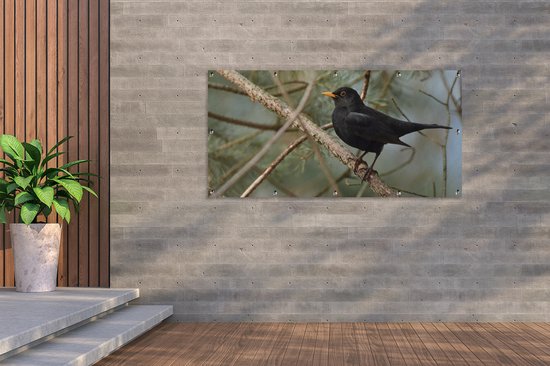 Affiche de clôture Vogel - Merle - Branches - Animaux - 200x100 cm - Toile de jardin