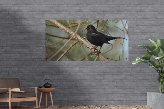 Affiche de clôture Vogel - Merle - Branches - Animaux - 200x100 cm - Toile de jardin