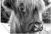 Tuindecoratie Schotse hooglander kalf met mooie lange haren - zwart wit - 60x40 cm - Tuinposter - Tuindoek - Buitenposter