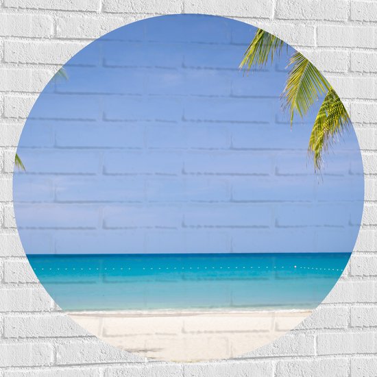 Muursticker Cirkel - Palmbladeren op Tropisch Strand - 100x100 cm Foto op Muursticker