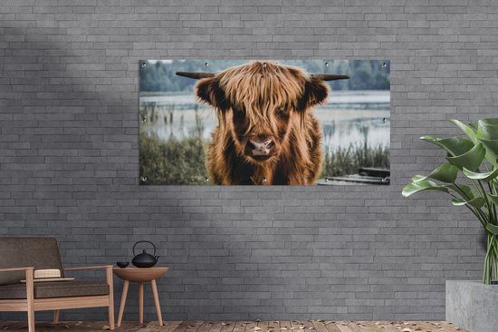 Affiche de clôture Vaches - Highlander écossais - Marron - Nature - 200x100 cm - Toile de jardin