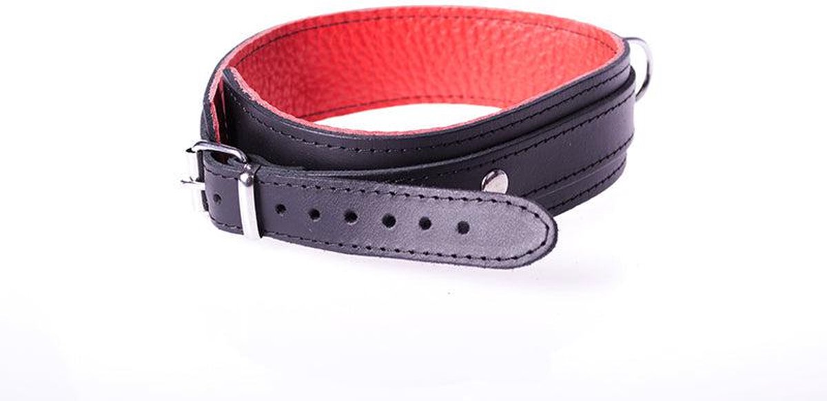 Basic Collar van Leer met Metalen D-Ring en Gesp - Zwart/rood