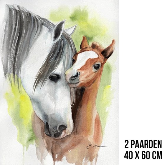 Allernieuwste.nl® Canvas Schilderij Twee Paarden - Paardenliefde - Paard - kleur - 40 x 60 cm