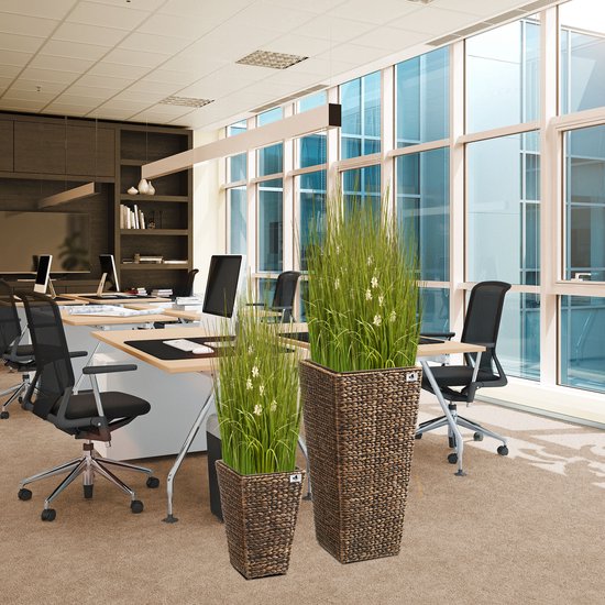Orchidee Pot Met Drainage Transparante Orchideeënpot Met Gaten - 11 Cm, Incl. Schotel - Wortelgestuurd, Ademend Plastic Wortelgestuurde Plantenpot Orchidee Pot Met Drainage Transparante Orchideeënpot Met Gaten - 11 Cm, Incl. Schotel - Wortelgestuurd, Ademend Plastic Wortelgestuurde Plantenpot