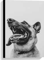 WallClassics - Canvas - Hond met uitstekende Tong - Herdershond - 40x60 cm Foto op Canvas Schilderij (Wanddecoratie op Canvas)