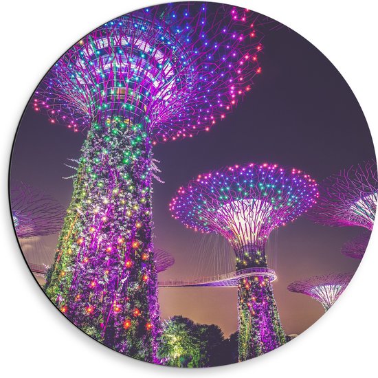 WallClassics - Dibond Muurcirkel - Natuurpark in Nacht - Singapore - 50x50 cm Foto op Aluminium Muurcirkel (met ophangsysteem)