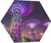 WallClassics - Plaque de Mousse PVC Hexagone - Parc Naturel de Nuit - Singapour - 60x52,2 cm Photo sur Hexagone (Avec Système d'accrochage)
