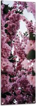 WallClassics - Tuinposter – Donker- en Lichtroze Bloemenstruik - 50x150 cm Foto op Tuinposter (wanddecoratie voor buiten en binnen)