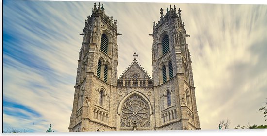 WallClassics - Dibond - Kathedraakbasiliek van het Heilig Hart in New Jersey - 100x50 cm Foto op Aluminium (Wanddecoratie van metaal)