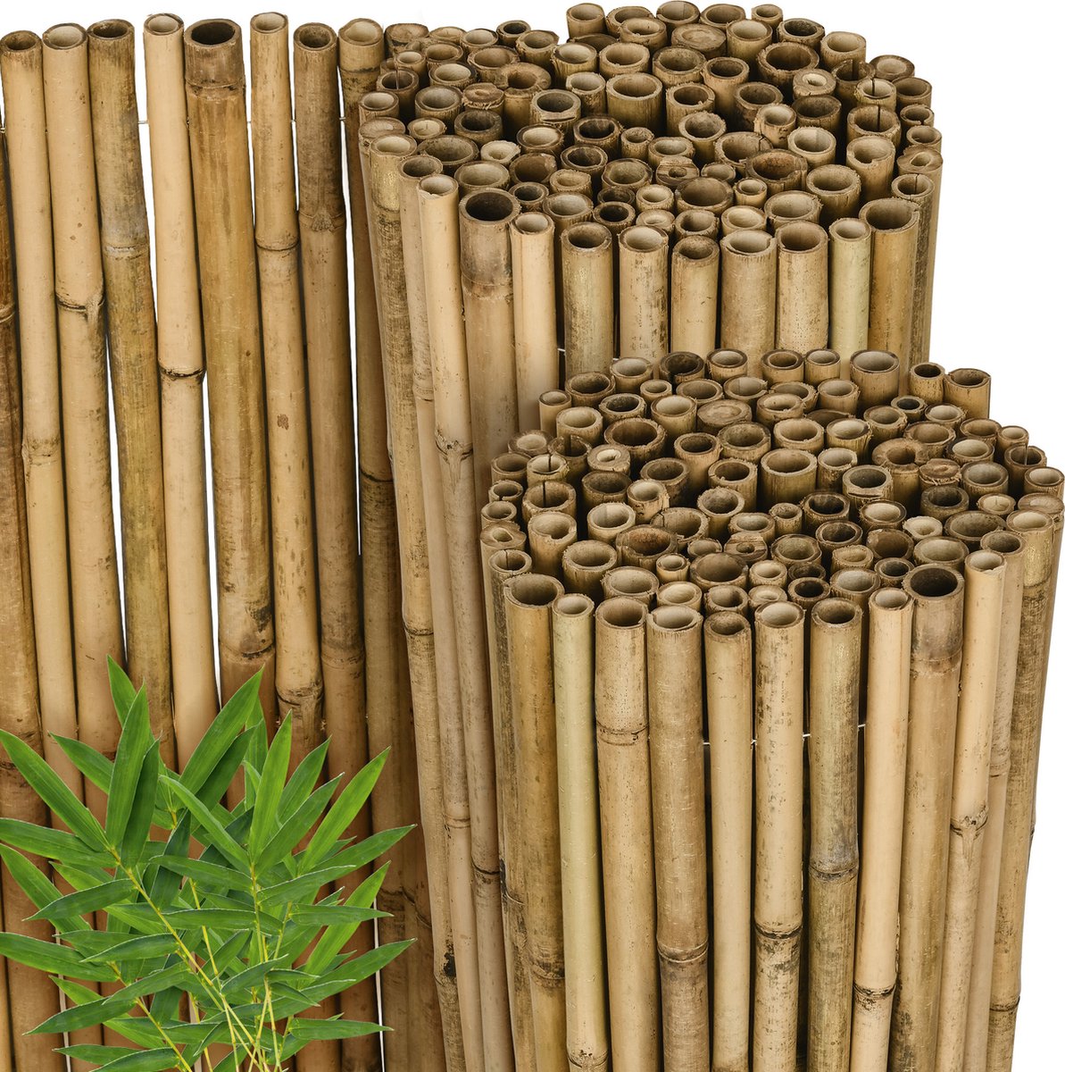 Sol Royal Canisse Bambou SolVision B38 180x250 Cm - Brise Vue Balcon Jardin Terrasse Naturel FSC